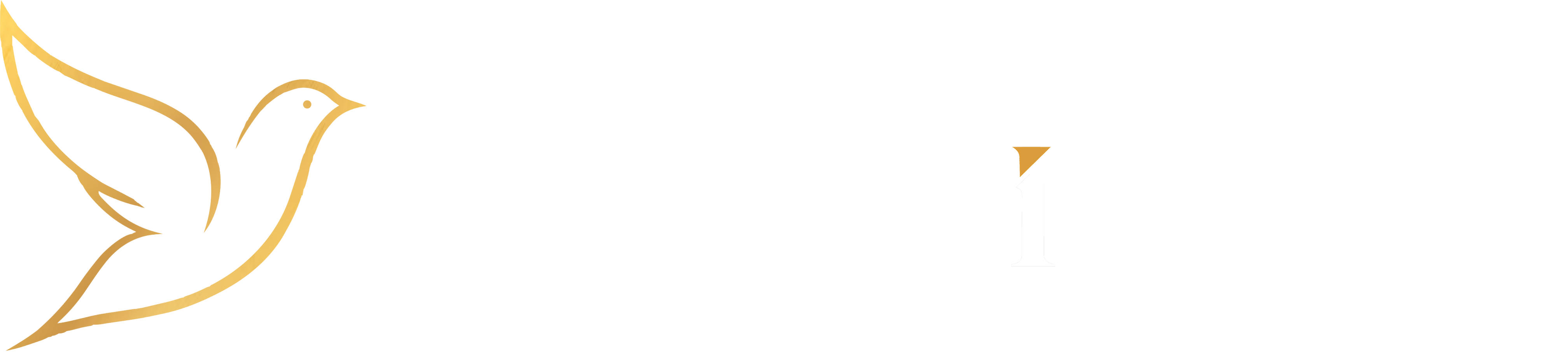 The Home Ideas