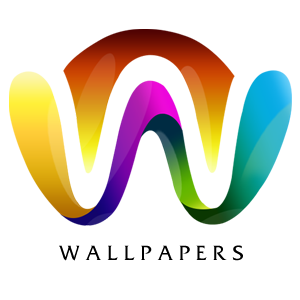 Logo 11